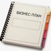 Составление бизнес-плана по индивидуальным параметрам